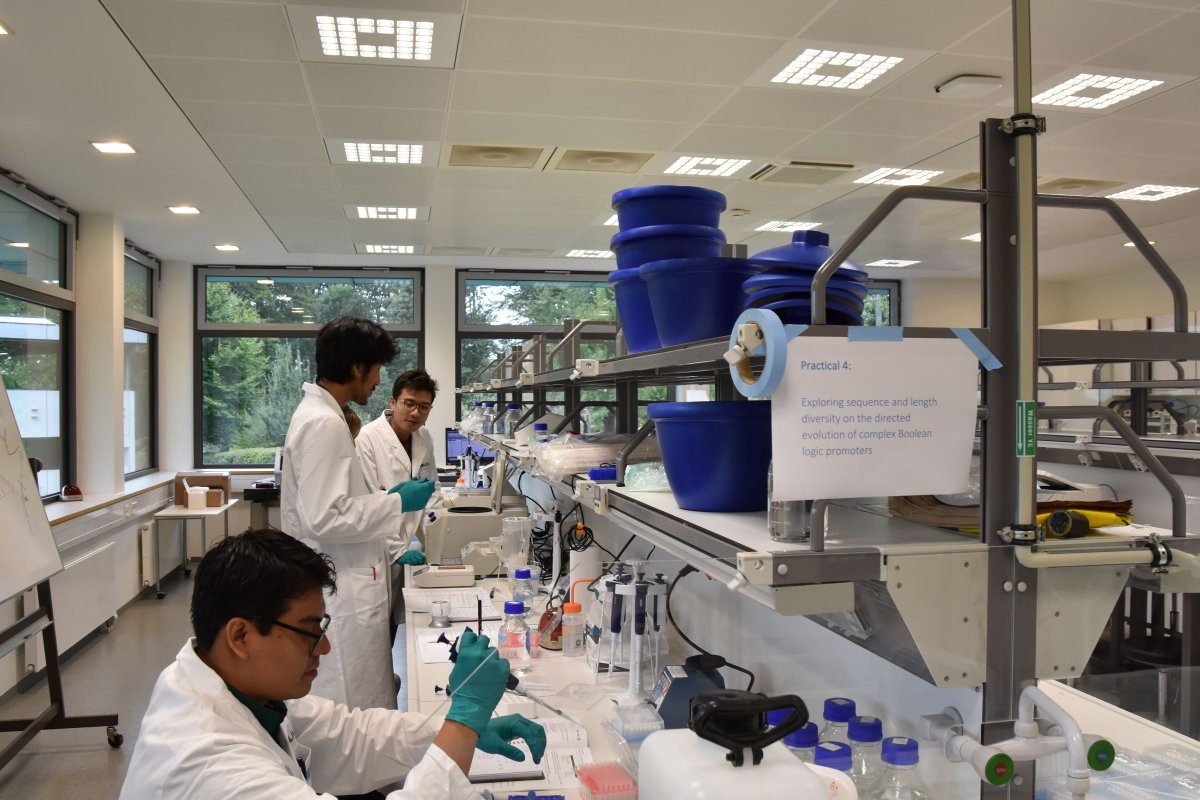 EMBLEvents's tweet photo. Welcome to Day 2 of #EMBOSynBio π
Our hybrid EMBO practical course featured morning sessions about biosensors and machine learning models.
This afternoon participants are busy with practicals like MAGE of bacteria and CRISPR editing of mammalian genomes π§¬π§ͺ https://t.co/YaG5hI9urL