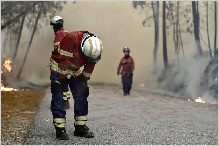 alentejo_1970's tweet image. Precisamos da vossa colaboração na recolha de bens essenciais para o bem-estar das nossas equipas operacionais. 🙏#Bombeiros 🇵🇹

- Fruta
- Barras energéticas
- Águas
- Sumos sem gás
- Bebidas energéticas
- Medicamentos: Ben-U-Ron, Brufen, Voltaren
- Produtos de higiene pessoal