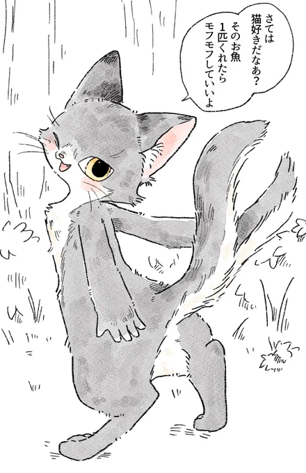 川釣り帰りに遭遇🐈 