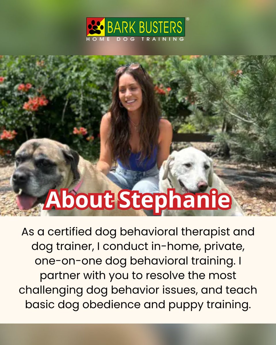 barkthevalley's tweet image. Life’s ruff? 🐶 Let’s paws for some training! At Bark Busters, we turn &apos;uh-ohs&apos; into &apos;good boys!&apos; 🐾🎉 #DogTrainingFun #BarkBusters #PawsitiveVibes