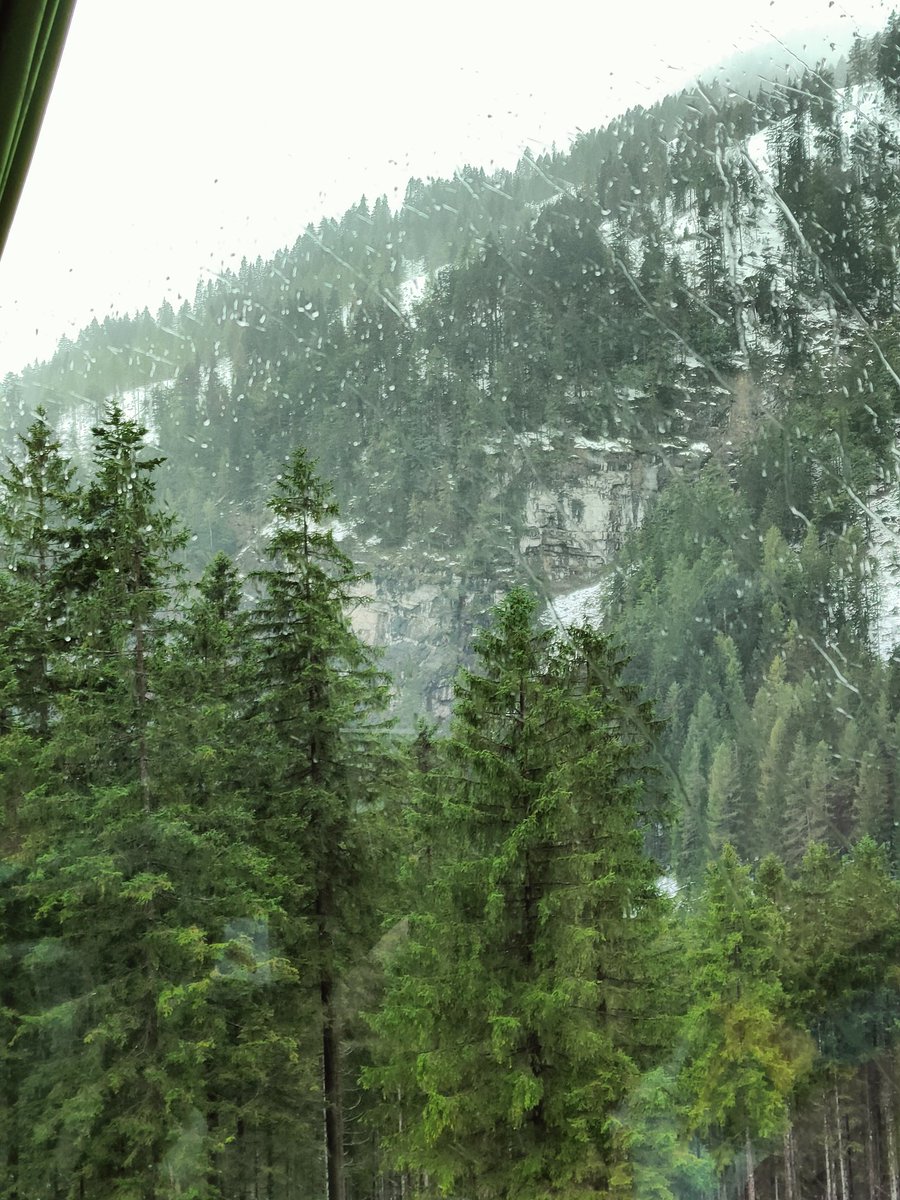 ShinkenGadse @Polaris2025 tweet media