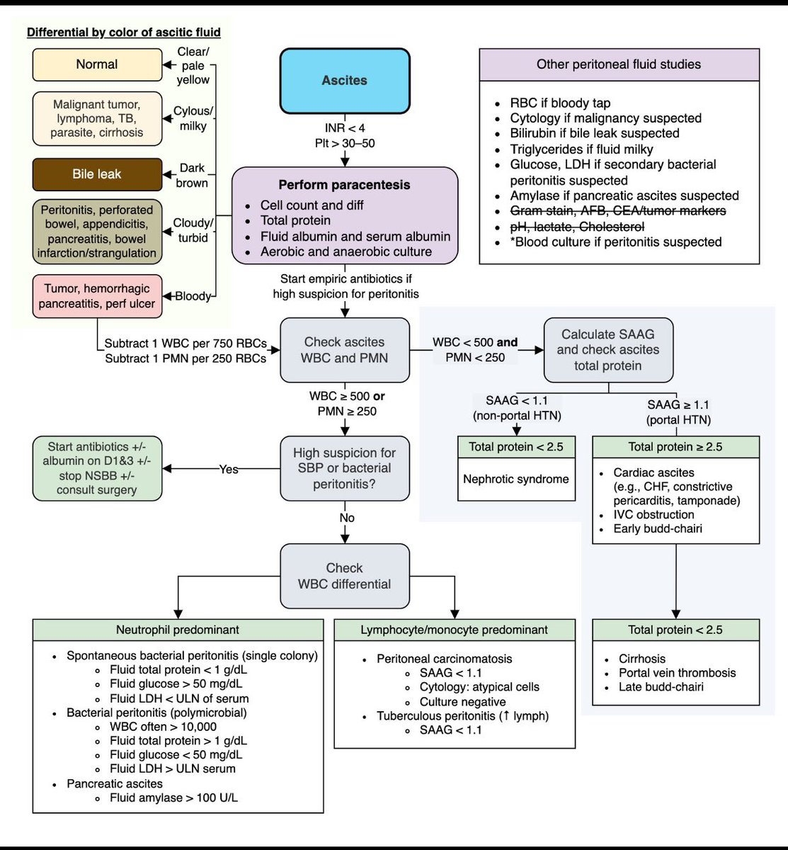 💡Approach to Ascites 

<a href="/MatthewHoMD/">Matthew Ho</a>