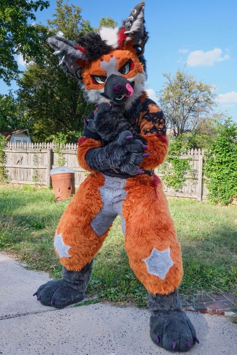 Zech 🔜 LVFC tweet media