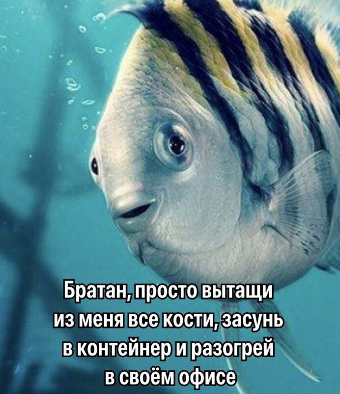 Дантес tweet media