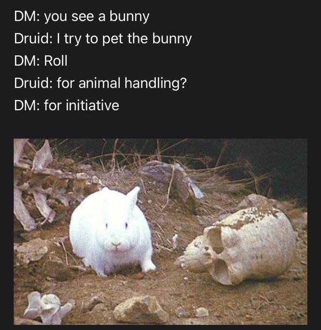 memeslich 💀 dnd memes (@memeslich) on Twitter photo 