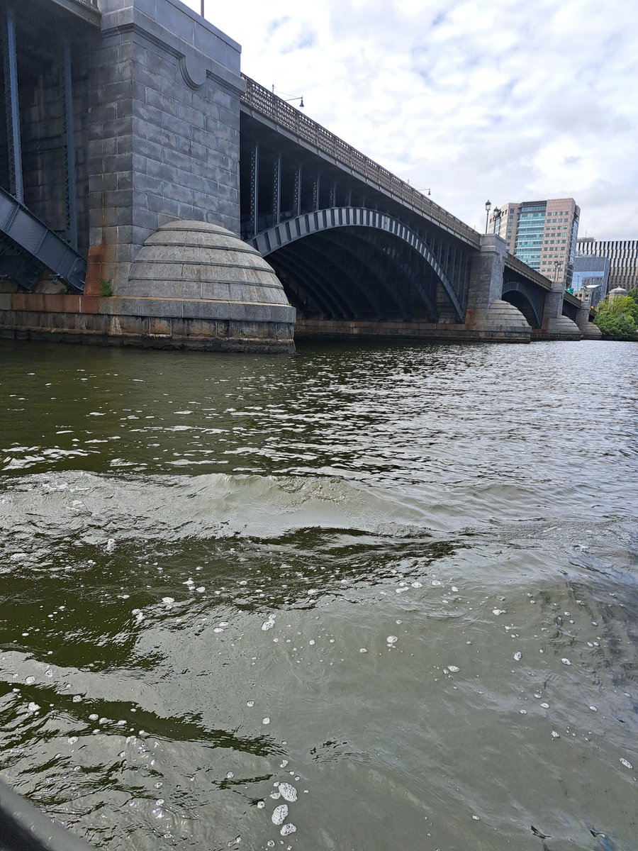 dsutton24's tweet image. Good day for a Duckboat tour.