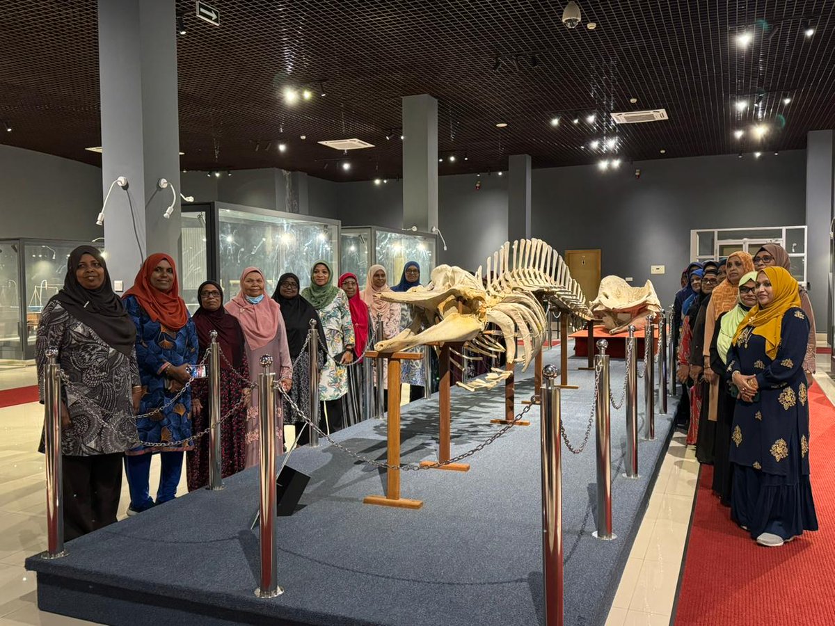 Maldives National Museum tweet media