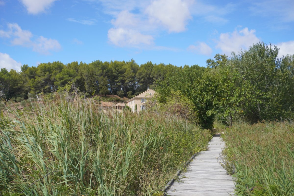 Etape 3 de notre Tour de France : Le Vaucluse !
Visite de l'étang salé de Courthézon (6400 habitants) en compagnie du maire <a href="/NicolasPaget84/">Nicolas Paget</a>. En plein cœur des terres du châteauneuf-du-Pape, l'édile fait de cette zone humide un lieu de préservation de la faune/flore.
(1/2)