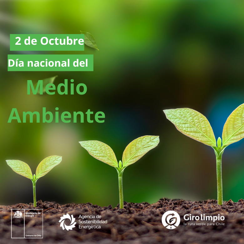 🌍 En el Día Nacional del Medio Ambiente, reafirmamos nuestro compromiso de reducir las emisiones de GEI y promover la eficiencia energética en el transporte de carga🚛.

Conoce más sobre cómo participar en Giro Limpio 👉 bit.ly/3XKGoUG

#MedioAmbiente #Sostenibilidad