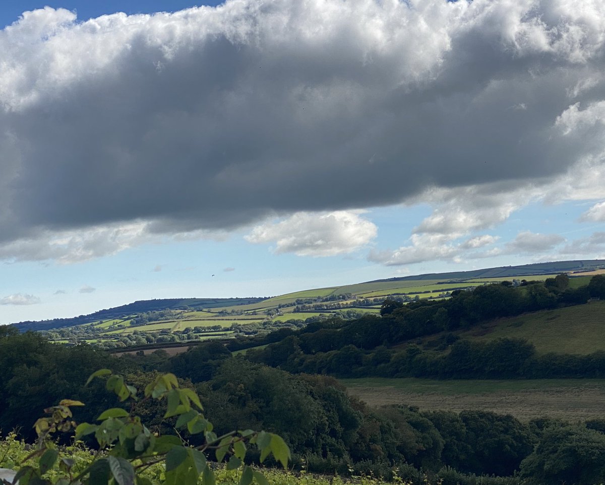 Our annual pilgrimage by 🚲 from Padstow to the Camel Valley Vineyard <a href="/camelvalleybob/">Bob Lindo</a> 

Somehow the way back is always easier…