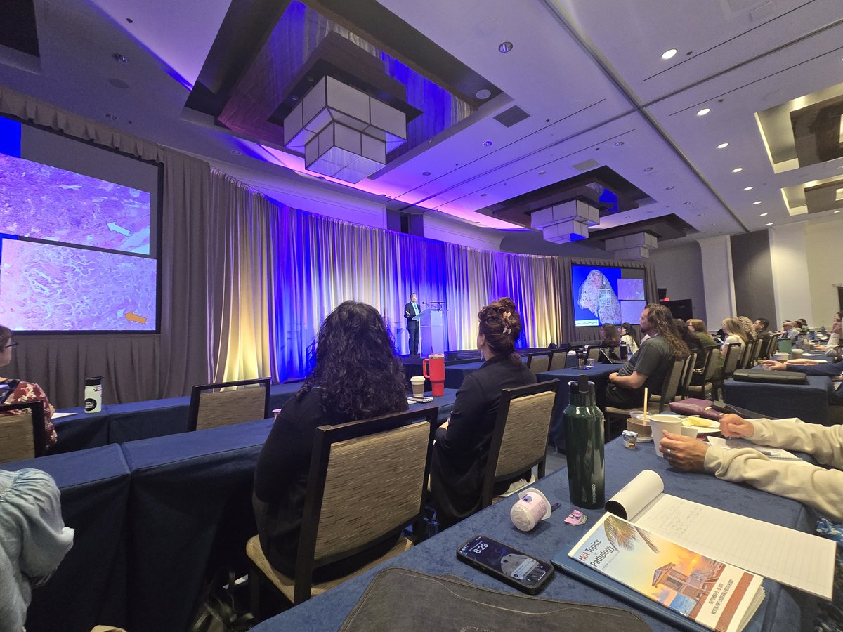 PathAssistant's tweet image. Great pulmonary pathology  lecture by Dr. Sanjay Mukhopadhyay #AAPAfall24