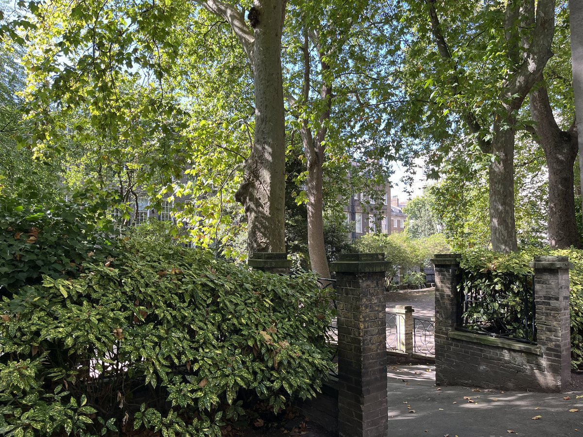 Steven Dodsworth tweet media