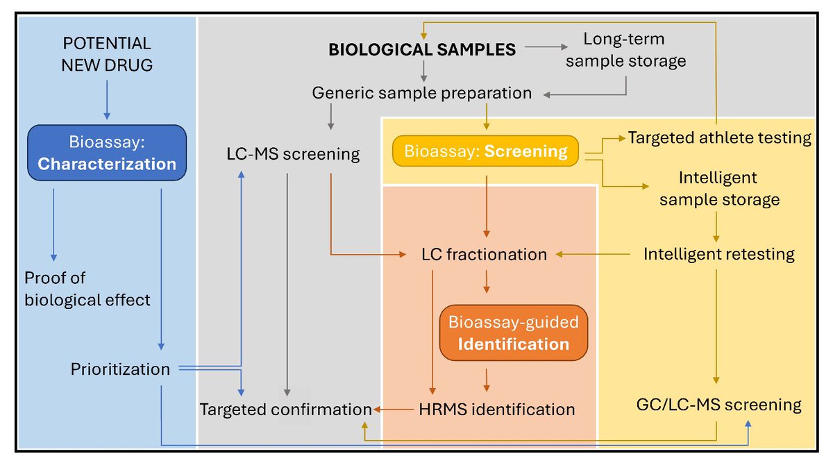 Liesl Janssens (@janssensliesl) on Twitter photo With our review on bioassays for drug detection in biofluids in preprint, 10/10 publications of my PhD are published!
🙏🏼 <a href="/christophestove/">Christophe Stove</a> <a href="/PeterVanEenoo/">Peter Van Eenoo</a>
Read about the experience with cell-based assays in anti-doping and growth promoter control in ACA:
doi.org/10.1016/j.aca.… With our review on bioassays for drug detection in biofluids in preprint, 10/10 publications of my PhD are published!
🙏🏼 <a href="/christophestove/">Christophe Stove</a> <a href="/PeterVanEenoo/">Peter Van Eenoo</a>
Read about the experience with cell-based assays in anti-doping and growth promoter control in ACA:
doi.org/10.1016/j.aca.…