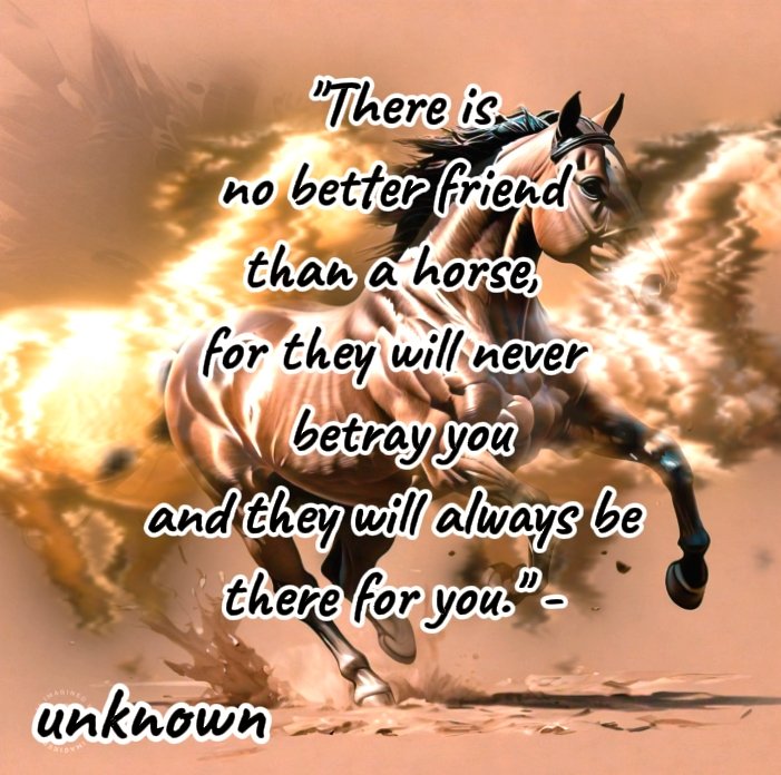 Zohaib (@zohaib624327) on Twitter photo "A horse gallops with his lungs, perseveres with his heart, and wins with his character." - Frederico Tesio "A horse gallops with his lungs, perseveres with his heart, and wins with his character." - Frederico Tesio