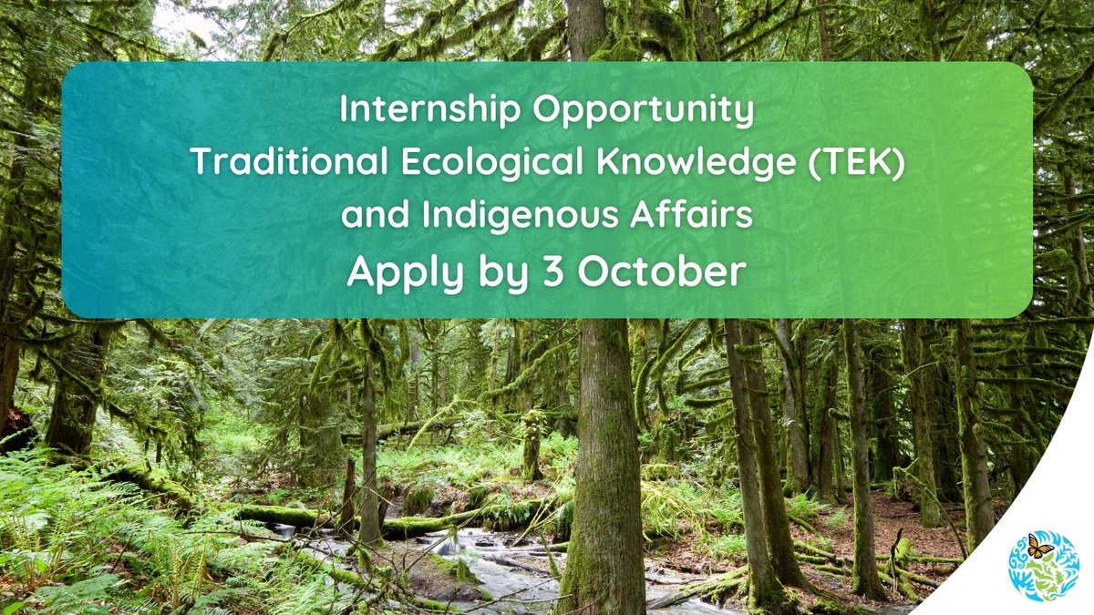 📢 #Internship opportunity!

The CEC is looking for an #intern to assist in advancing Indigenous policy and provide support to the Traditional Ecological Knowledge Expert Group

🌎 Only open to #Indigenous People
📌 Apply by 3 Oct

👉cec.org/about/secretar…