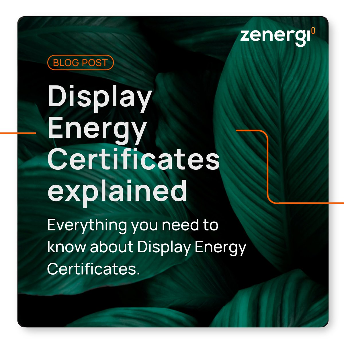 𝗕𝗲𝘆𝗼𝗻𝗱 𝗰𝗼𝗺𝗽𝗹𝗶𝗮𝗻𝗰𝗲: 𝗧𝗵𝗲 𝘁𝗿𝘂𝗲 𝘃𝗮𝗹𝘂𝗲 𝗼𝗳 𝗗EC's🔍

Measuring your building’s energy performance isn’t just about ticking boxes – it’s about driving meaningful change.

Read more👉eu1.hubs.ly/H0cjlSR0

#DisplayEnergyCertificates