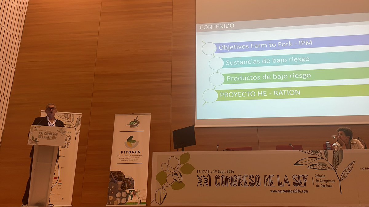 FITORES_SEF tweet media