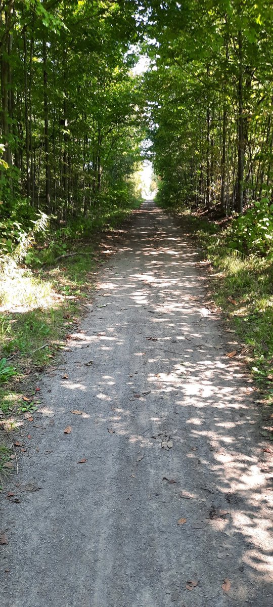 The Erin trail is a beautiful place to do the Terry Fox run/walk. ❤️❤️❤️  #erinproud #terryfox2024