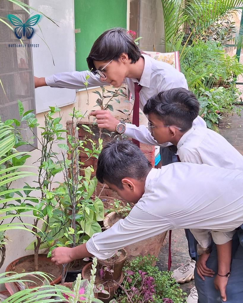 b_e_universe's tweet photo. As we conclude our 6-month Butterfly Effect Program at CMS Karachi, we’re proud to see students take charge of the conservatory. Their leadership will inspire future generations in environmental stewardship &amp; conservation. #ButterflyEffect #StudentLeadership #Sustainability #ERA https://t.co/d0Xe2KmGt6