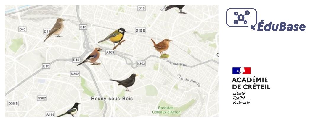 SVT_edu_num's tweet photo. [#Edubase] Retour sur l'Ornithobservatoire
Scenario proposé par @AcCreteil @SVTdeCreteil 
🔗https://t.co/2GmHGTywQZ https://t.co/gIzmLK5Guo