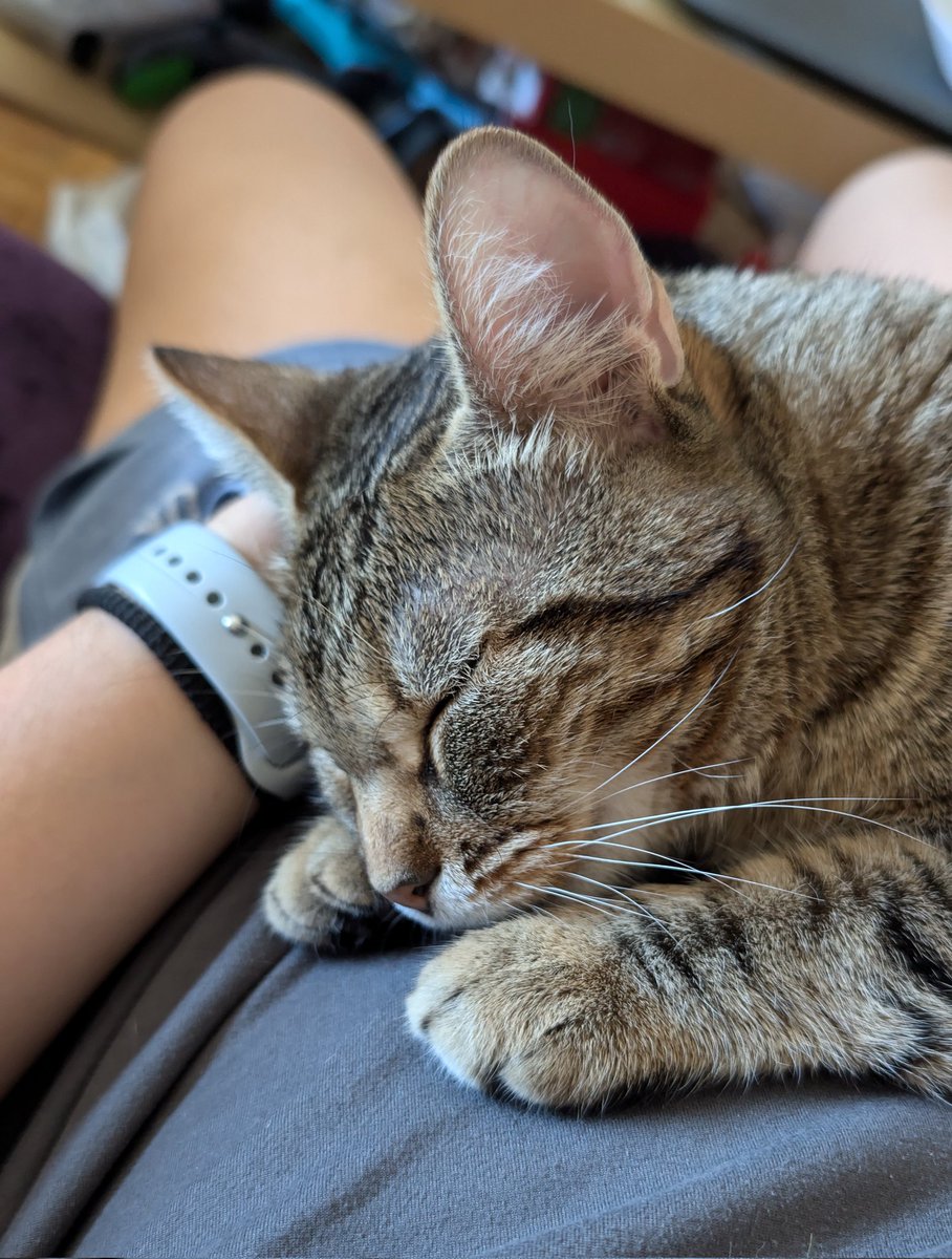 🌻Blan🌻 tweet media