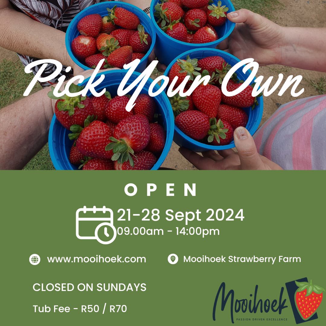 nichola_anne's tweet photo. #Mooihoek's Pick Your Own πππ will be open for the September School holiday!
π 21 September to 28 September 2024
π 9am - 2pm
π Tub Fee R50/R70
π Closed on Sundays
#Mooihoek #Strawberries #pickyourown #strawberrypicking #familyfun #gamtoosvalley #agritourism #hankey https://t.co/1oo6B94hzY