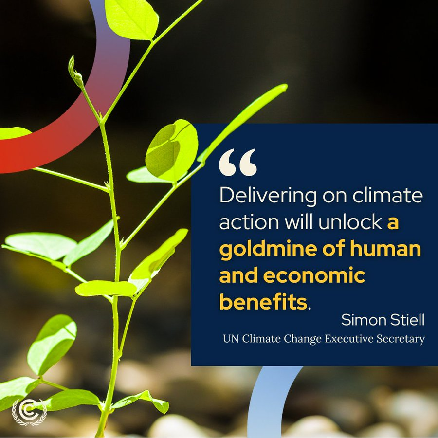 UN Biodiversity tweet media