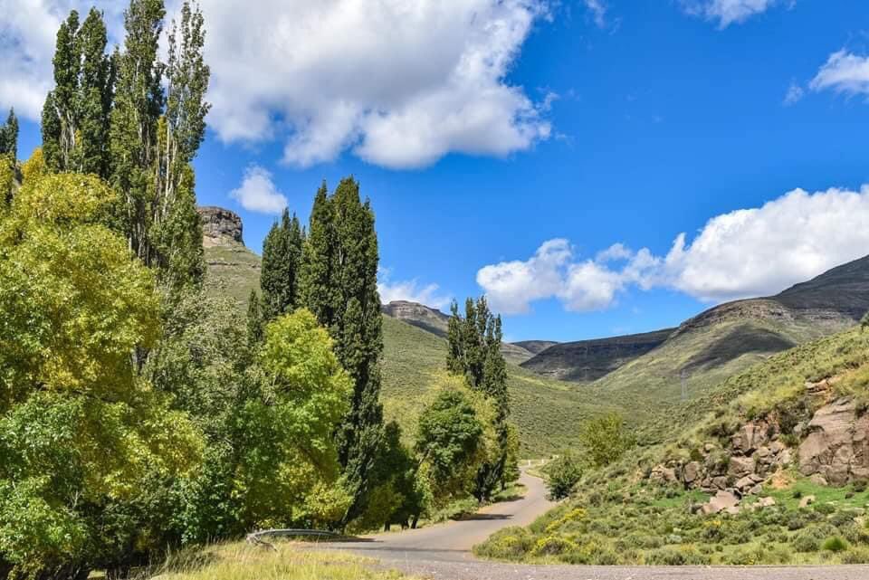 Lesotho Tourism Development Corporation tweet media