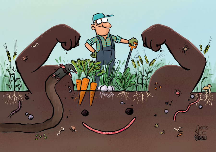 Soil is a living, non-renewable natural resource, crucial #ForOurPlanet and our lives  

#DYK soil 
🌱stores the most carbon
🌱hosts 25%+ of #biodiversity
🌱provides 95-99% of food for 8 billion people

👉environment.ec.europa.eu/topics/soil-an…

Via <a href="/EU_ENV/">EU Environment</a>