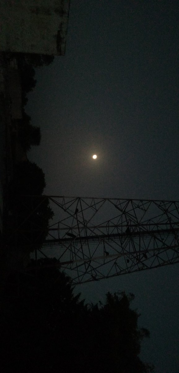 🌝🌝