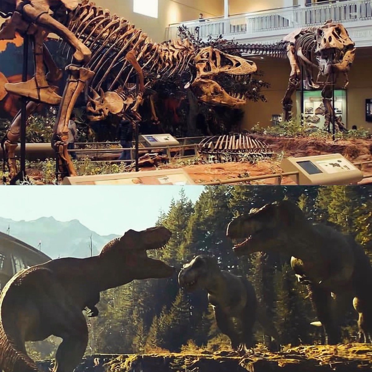 thejurassicmag's tweet photo. Life finds a way. 

#JurassicWorldRebirth #dinosaurs #paleoart #jurassic #animals #nature #dino #dinosaur #fossil #paleontology #paleontologist #jurassicpark #jurassicworld #Tyrannosaurus #Trex #Rexy #Theropod #thelostworld #thelostworldjurassicpark #jurassicpark3

🦖❤️🦕 https://t.co/YGMrmpxBEj