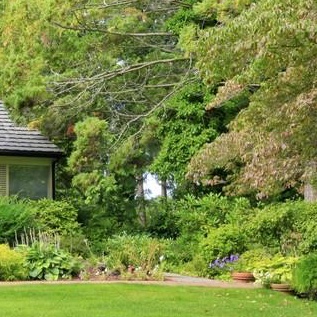 WebbingSecure's tweet image. My wife has sent me to her parent’s home. Everyone wants me to cut some of the greens. Like my balls, it is getting a bit bushy here near their house.