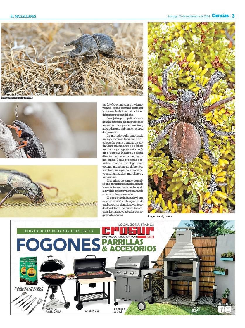 🪲El estudio de invertebrados terrestres realizado en el área del proyecto "Gente Grande" ha arrojado resultados de gran relevancia. La identificación de 200 especies, incluyendo 179 de la Clase Insecta y 21 de la Clase Arácnida.

#TegChile #Teg