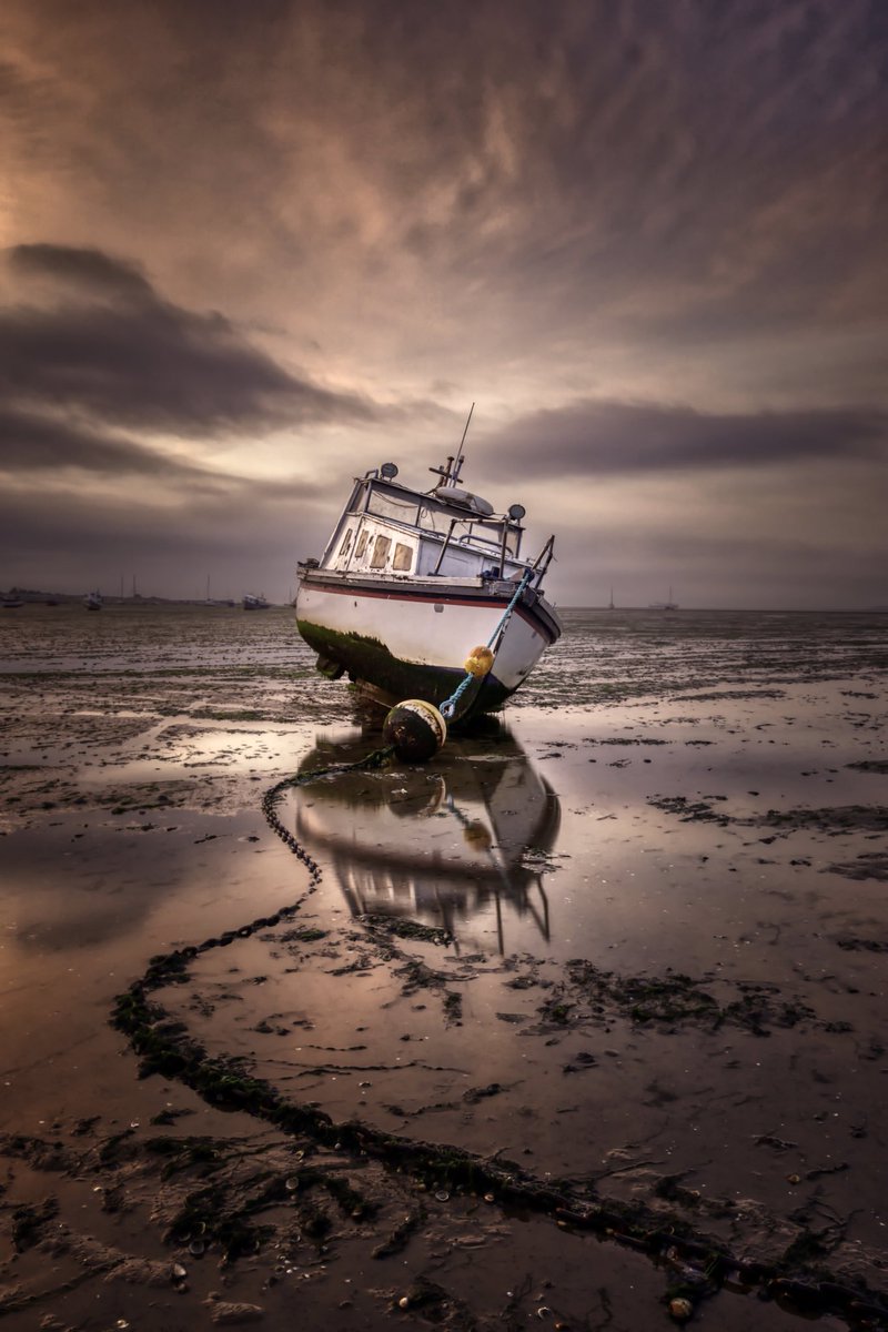 jeffsawkins's tweet photo. Purple Dawn Get knotted
#FSLocal
#ShareMondays2024
#ShareMondays #fsprintmonday #thamesriver https://t.co/f2bRPwXJ2X