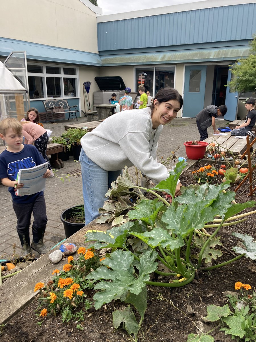 Holly School (@hollyschool) on Twitter photo Lots of activity in Holly's #TheLivingClassroom💛🐝 last week! #schoolspaces #stewardofthisland #curiosity #msrydersclass <a href="/deltasd37/">DeltaSchoolDistrict</a> Lots of activity in Holly's #TheLivingClassroom💛🐝 last week! #schoolspaces #stewardofthisland #curiosity #msrydersclass <a href="/deltasd37/">DeltaSchoolDistrict</a>