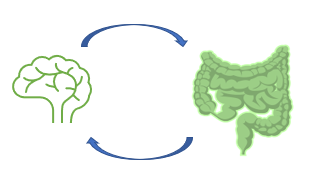 NL_Wetenschap's tweet photo. 🧠 Wist je dat je darmbacteriën je hersenen kunnen beïnvloeden? Dit wordt de darm-hersen-as genoemd. De darmbacteriën worden geassocieerd met gedrag, zo kunnen een aantal bacteriën het stofje GABA aanmaken, wat stres zou kunnen verminderen. #darmbacteriën #hersens https://t.co/uJLI3lNkWq