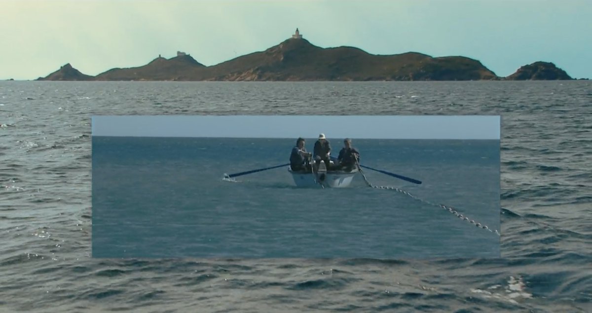 agnès varda archive tweet media