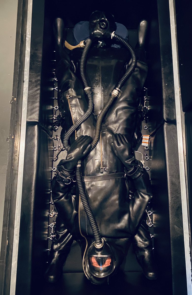 SeriouslyBound tweet media