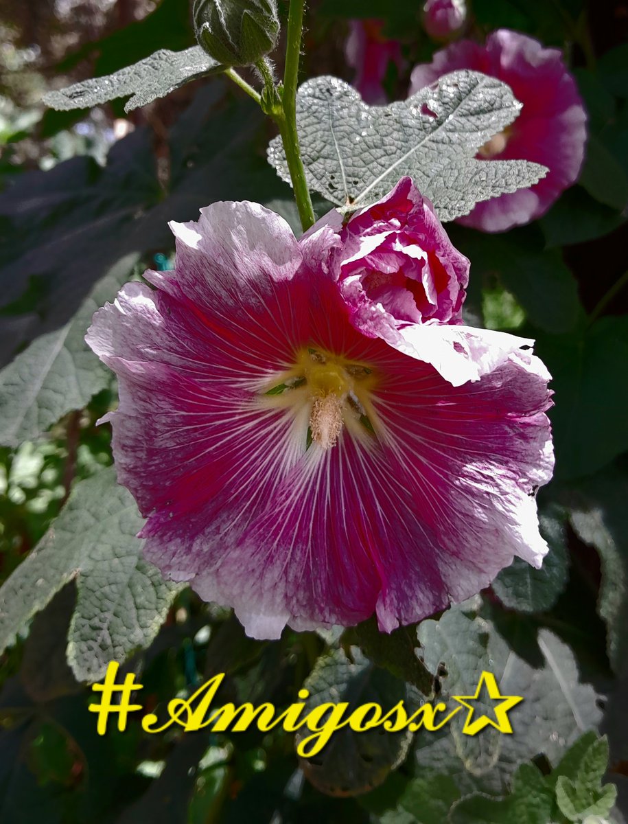 𝓐𝓶𝓲𝓰𝓸𝓼𝔁✮
<a href="/Jemaco40/">@Jemaco40</a> ✮
<a href="/botagain/">月面漫遊記</a>
<a href="/MARTHA_CAN2/">MARTHA 👑</a>
<a href="/LauraM24960/">LAURA 👑</a>
<a href="/_ALESXIA/">꒰ ͜͡➸ ❤ A̫̫L̫̫E̫̫S̫̫X̫̫I̫̫A̫̫ ꒰ ͜͡➸❤</a>
<a href="/kiwinizzel1/">Kiwi Patriot 🇳🇿🇸🇪🇺🇸🥊 🏈🏄🏽‍♂️ 🏌🏼‍♂️ MAGA</a>
<a href="/kamil_gk/">kamil ali gök</a>
<a href="/KalouYalewa/">Kaly Yalewa</a>
<a href="/MoniT__/">Monica 🌸</a>
<a href="/ElesitaDuran/">Elesita Duran 💞</a>

<a href="/Spencerjames211/">Spencer James #GAINWITHPETAL #TMPETAL #Teamspirit</a>
<a href="/ONE_WORLD_UN/">UncleReTweet</a>
<a href="/D_n_HR_Official/">Democracy&Human Rights</a>
<a href="/Dzarop/">Samuel</a>
<a href="/AniBaldovinos/">🍃🌻 ANA MARIA 🌻🍃</a>
<a href="/MARTHAMUSSY/">⚘MARTHA MUSSY ⚘</a>
<a href="/MirnaVernal/">👑 MIRNA 🛍🛍</a>
<a href="/kiwinizzel1/">Kiwi Patriot 🇳🇿🇸🇪🇺🇸🥊 🏈🏄🏽‍♂️ 🏌🏼‍♂️ MAGA</a>
<a href="/monicampon/">Monica 🌼</a>
@ME_TRC
<a href="/witchhusband/">Julian Haynes</a>