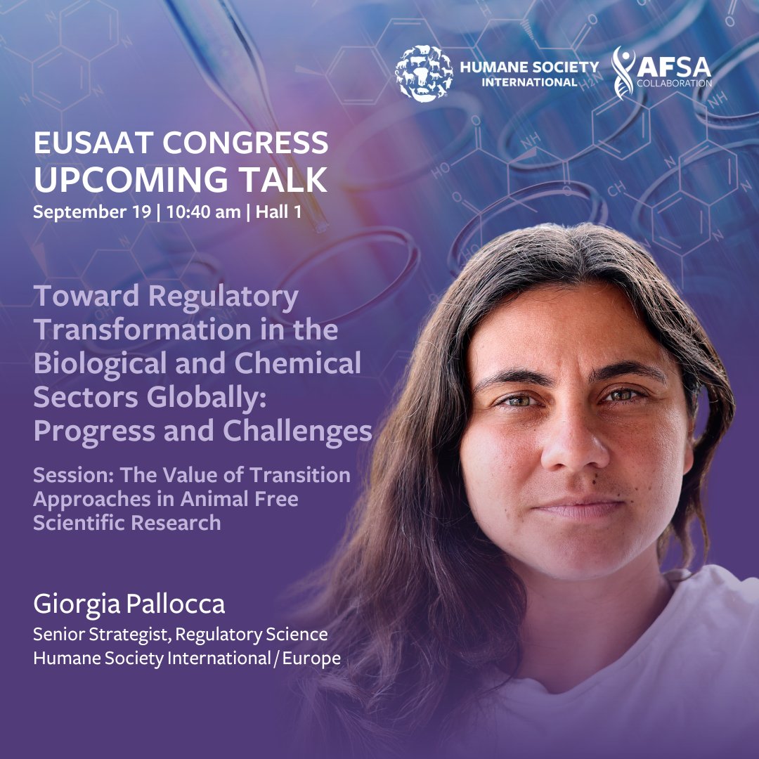 AFSAcollab's tweet image. Countdown to #EUSAAT 2024 Congress is on!

Giorgia Pallocca will be present AFSA&apos;s efforts to promote animal-free safety science in the biologicals and chemicals sectors, as well as, provide an overview of our #AFSAMasterClass.

Info: eusaat.eu/eusaat-congres…