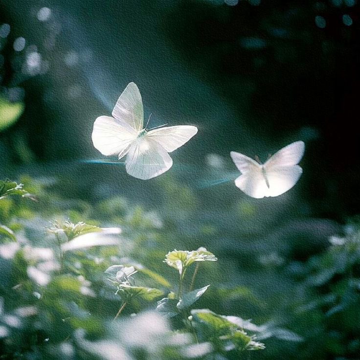 ᅠ ᅠ (@greendreaams) on Twitter photo 