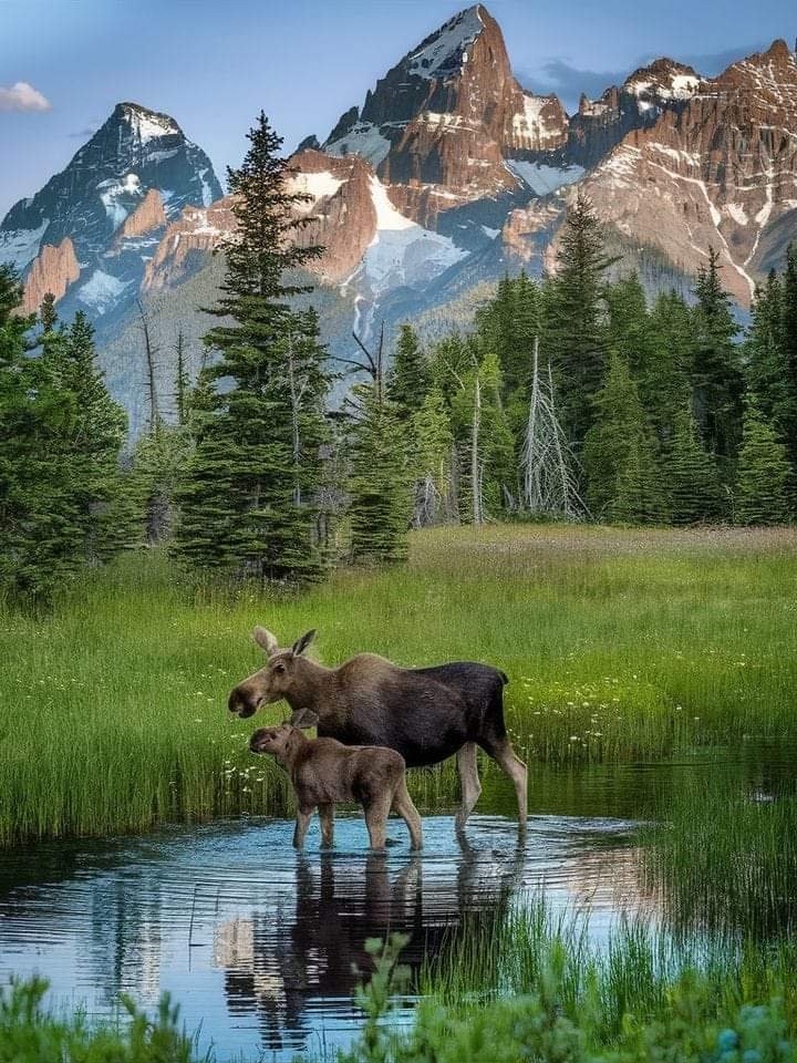 Grand Teton National Park