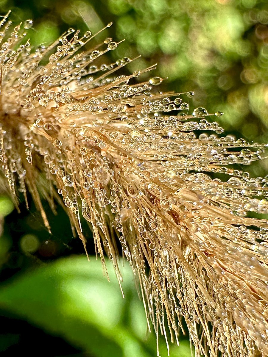 Let’s see your macro 📸 for #MacroMonday