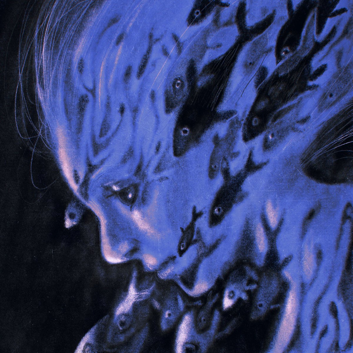 mole pudriendose por una piedra tweet media