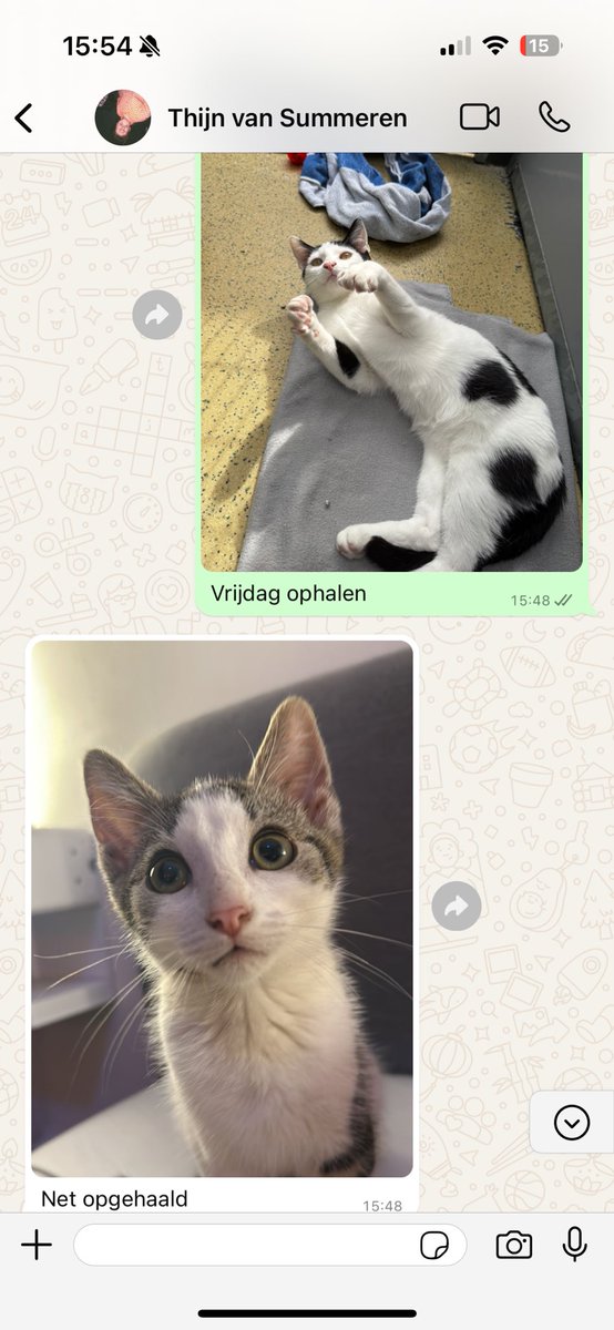 Bodeuh's tweet image. De invasie gaat beginnen