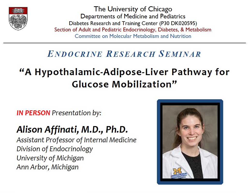 A new season of UChicago Endocrine Research Seminars starts today! Join us as Dr. Alison Affinati presents “A Hypothalamic-Adipose-Liver Path for Glucose Mobilization.”

Mon, Sep 16
5 pm CT
Also available on Zoom - DM for link