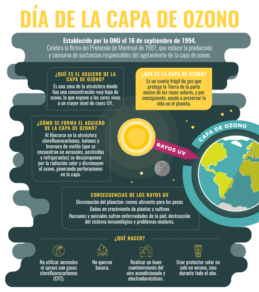 FBiodiversidad's tweet photo. 🤝 El Protocolo de Montreal es un ejemplo de que, cuando hay voluntad, la recuperación del #MedioAmbiente es posible 💪

Uno de los mayores éxitos de la política ambiental internacional que ha permitido que la #CapaDeOzono, poco a poco, se vaya regenerando 🌍

#DíaDeLaCapaDeOzono https://t.co/4fPiBosjjg