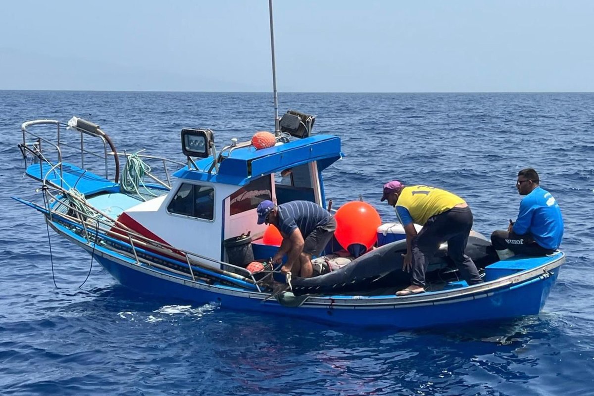 GacetaMeridiano's tweet photo. 📡El Cabildo concede una ayuda de 200.000 euros a la Sociedad Cooperativa del Mar Pescarestinga

⭕️La ayuda busca fortalecer las capacidades de producción y comercialización de esta entidad. #ElHierro 

👉https://t.co/0hD0oXwrNm👈 https://t.co/OISJrDIrNO