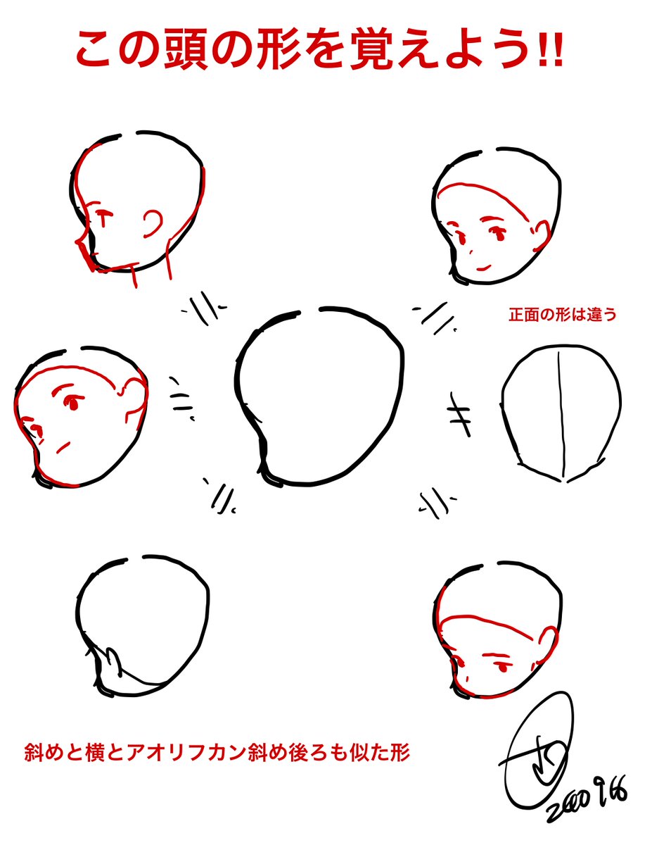 たくさん描いていくとわかること。
頭部の形は実は似た形…
まずは基本形を覚えてしまおう!!
そこからは無限の応用ができます。 