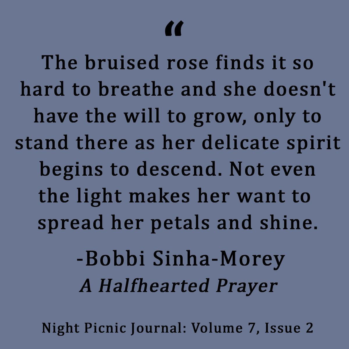 #bobbisinhamorey #nightpicnic #literature #poetry #quoteoftheday